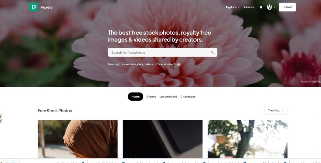 Screenshot of the Pexels home page, headed "The best free stock photos, royalty free images and videos shared by creators", with a search box above a grid of free stock photographs